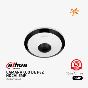 IPC-EW5541-AS Dahua Cámara de red ojo de pez IR WizMind de 5MP